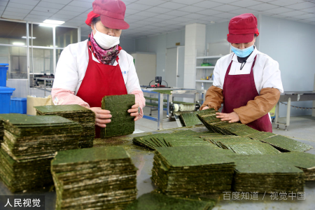 海苔是什么做的