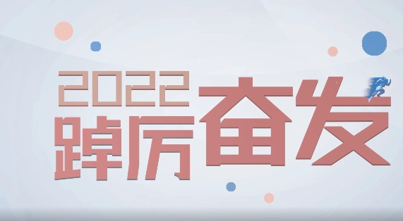踔厉奋发,笃行不怠的意思