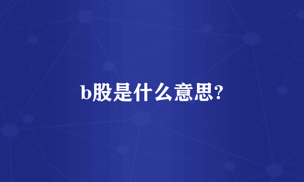 b股是什么意思?