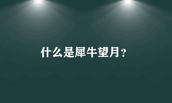 什么是犀牛望月？
