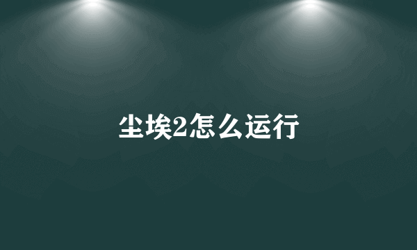 尘埃2怎么运行