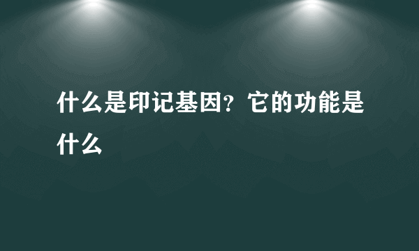 什么是印记基因？它的功能是什么