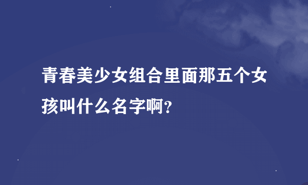 青春美少女组合里面那五个女孩叫什么名字啊？