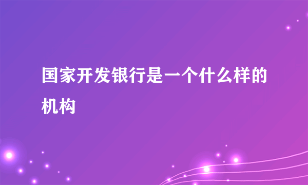 国家开发银行是一个什么样的机构