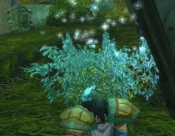 魔兽世界 联盟 萨满的 水之召唤任务