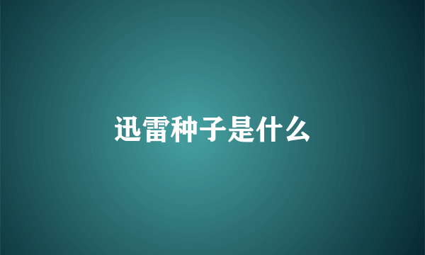 迅雷种子是什么