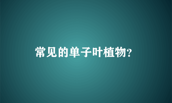 常见的单子叶植物？