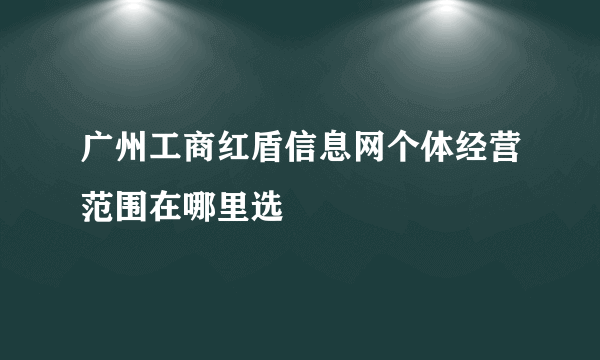 广州工商红盾信息网个体经营范围在哪里选
