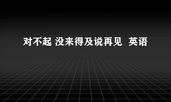 对不起 没来得及说再见  英语