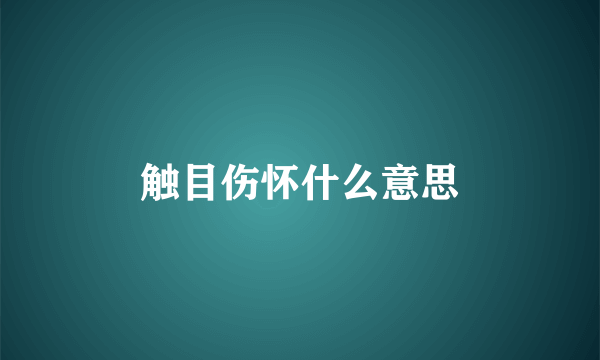 触目伤怀什么意思