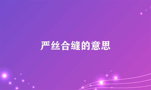 严丝合缝的意思