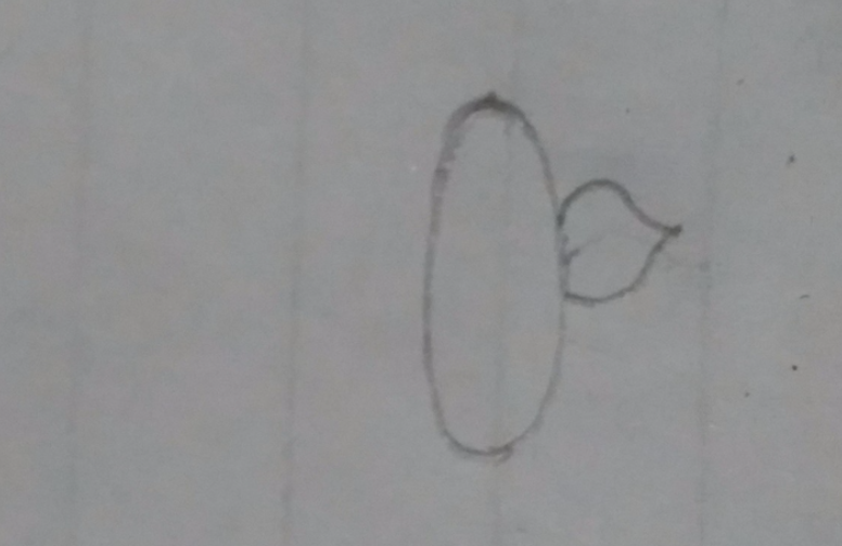孔明灯怎么画？