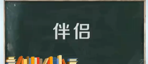 伴侣的拼音