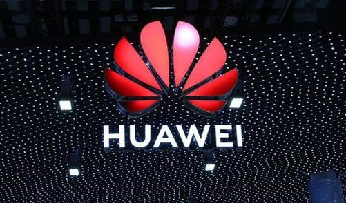 F810是华为什么型号