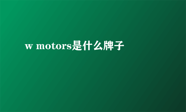 w motors是什么牌子