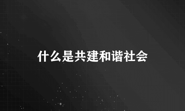 什么是共建和谐社会