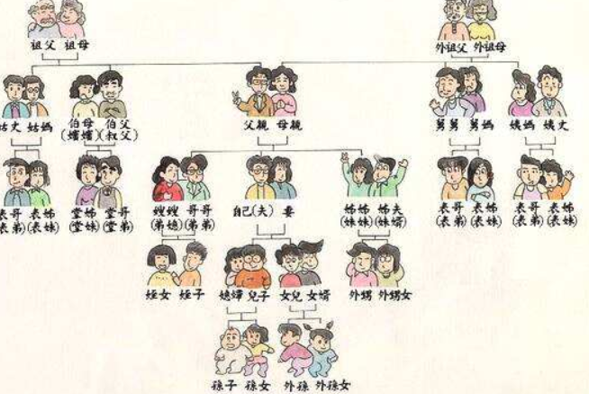 亲戚关系的所有人怎么称呼