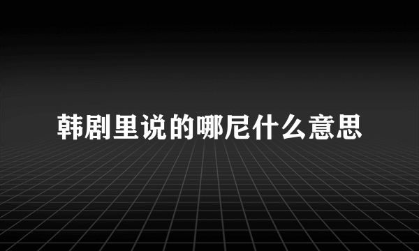 韩剧里说的哪尼什么意思