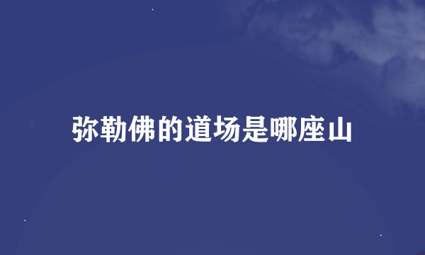 弥勒佛的道场是哪座山