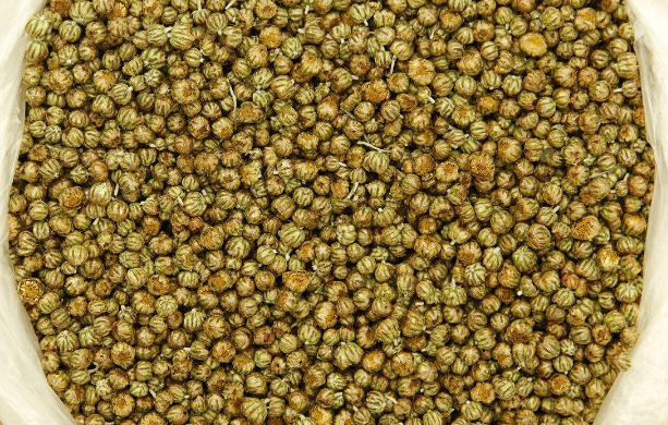 菊花茶分哪几种?