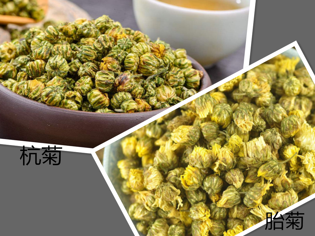 菊花茶分哪几种?