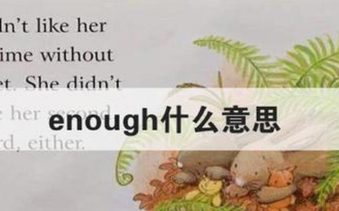 enough什么意思？
