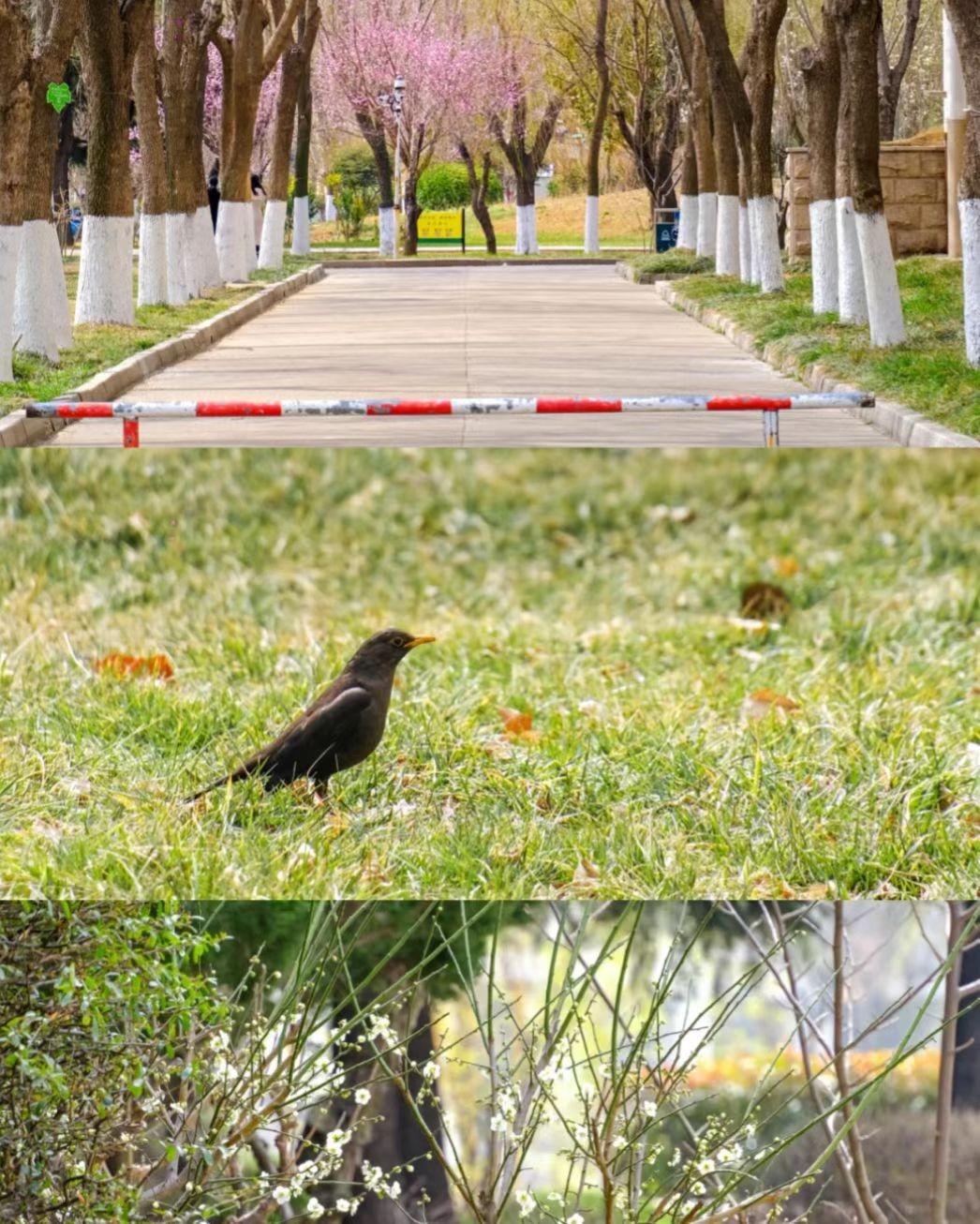 青岛农业大学好不好