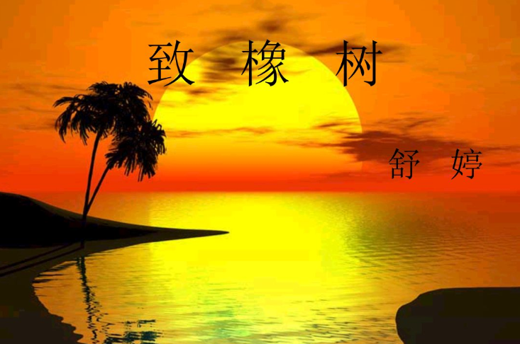 舒婷的主要作品有哪些？