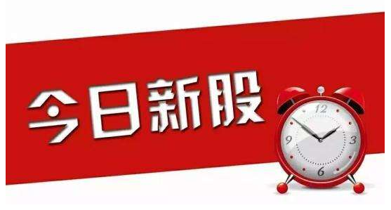 怎么计算新股申购额度？