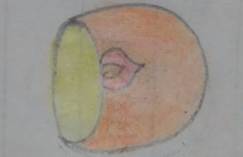 孔明灯怎么画？