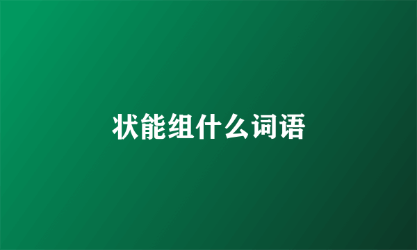 状能组什么词语