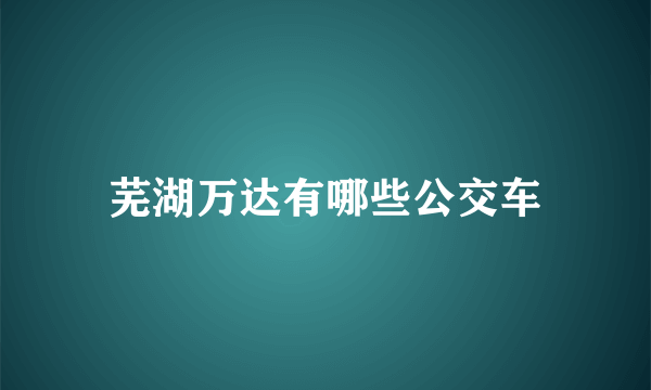 芜湖万达有哪些公交车