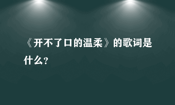 《开不了口的温柔》的歌词是什么？