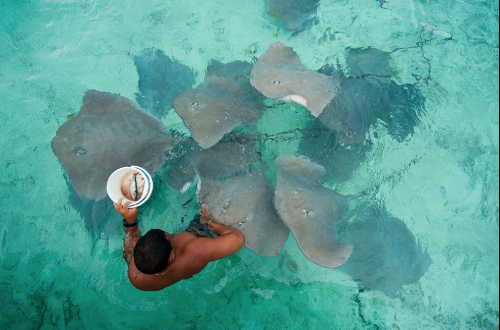去大溪地旅游一次要花多少钱