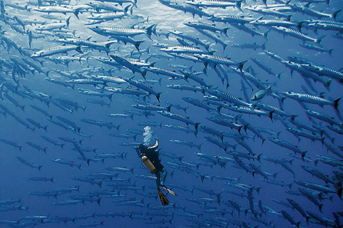 去大溪地旅游一次要花多少钱