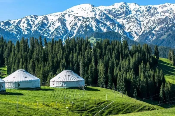 我国面积最大的“省”是哪十大省？