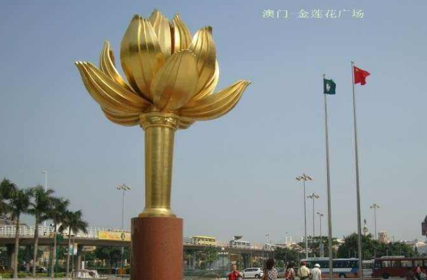 澳门的市花是什么花