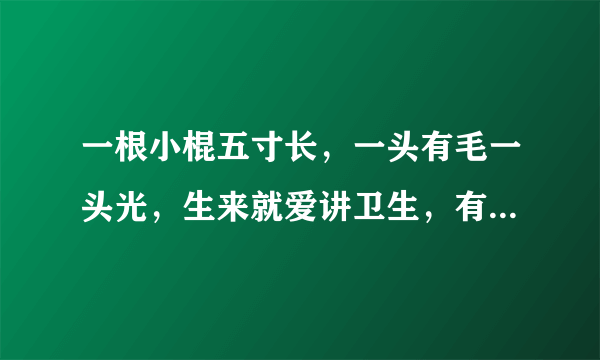 一根小棍五寸长，一头有毛一头光，生来就爱讲卫生，有天不用不舒服。 打一动物(包括昆虫)