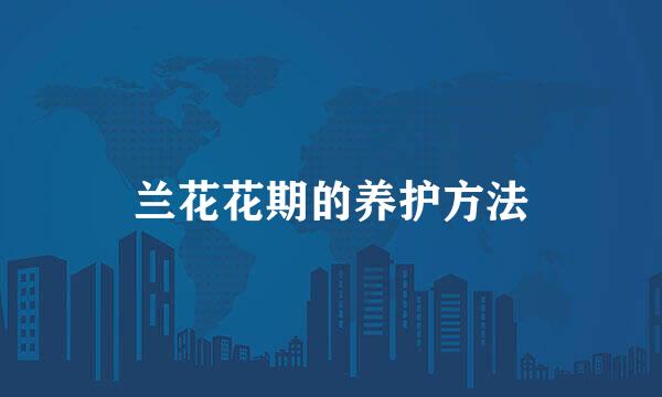 兰花花期的养护方法
