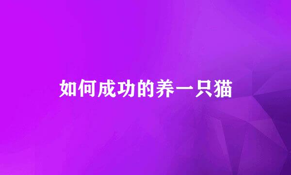 如何成功的养一只猫