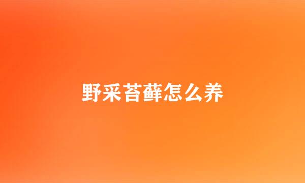 野采苔藓怎么养