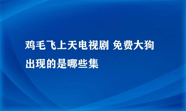 鸡毛飞上天电视剧 免费大狗出现的是哪些集