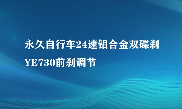 永久自行车24速铝合金双碟刹YE730前刹调节