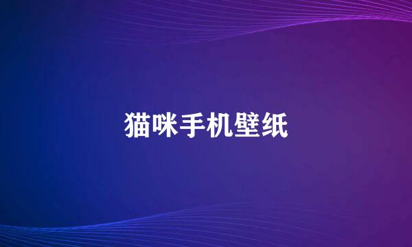 猫咪手机壁纸