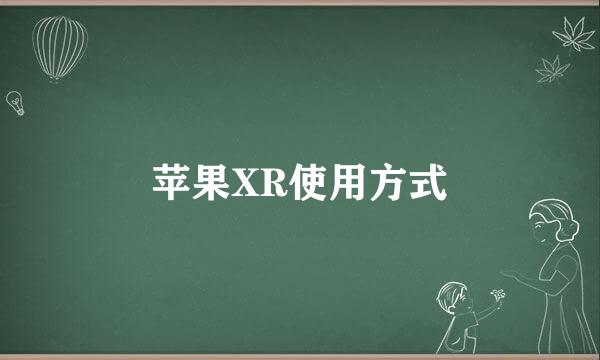 苹果XR使用方式