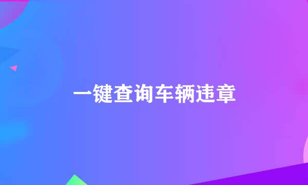 一键查询车辆违章