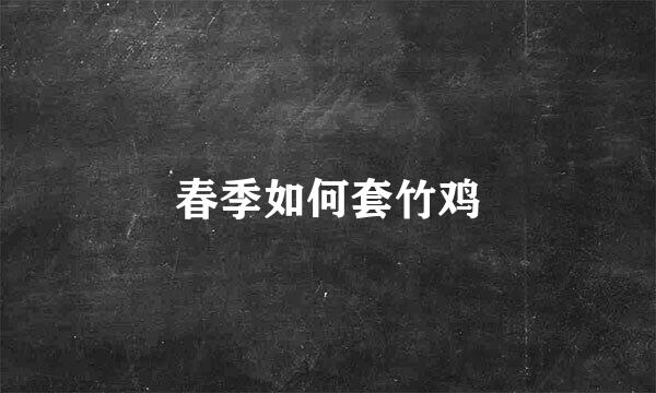 春季如何套竹鸡
