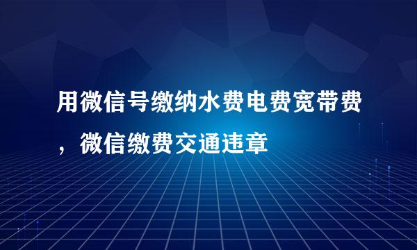用微信号缴纳水费电费宽带费，微信缴费交通违章