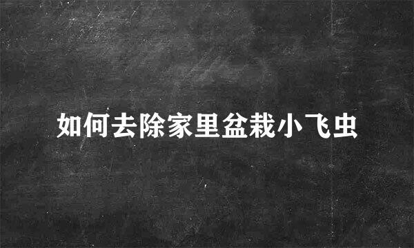 如何去除家里盆栽小飞虫