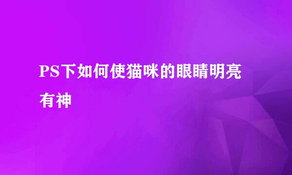 PS下如何使猫咪的眼睛明亮有神